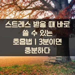 20250916_스트레스 받을 때 바로 쓸 수 있는 호흡법｜3분이면 충분하다
