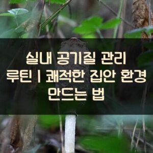 20250916_실내 공기질 관리 루틴｜쾌적한 집안 환경 만드는 법