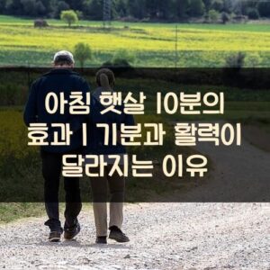 20250916_아침 햇살 10분의 효과｜기분과 활력이 달라지는 이유_002