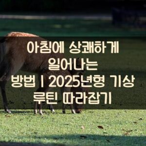 20250916_아침에 상쾌하게 일어나는 방법｜2025년형 기상 루틴 따라잡기