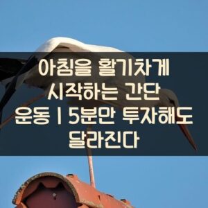 20250916_아침을 활기차게 시작하는 간단 운동｜5분만 투자해도 달라진다_002
