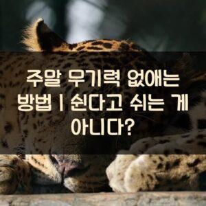 20250916_주말 무기력 없애는 방법｜쉰다고 쉬는 게 아니다