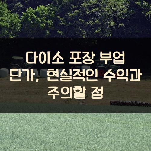 다이소 포장 부업 단가, 현실적인 수익과 주의할 점