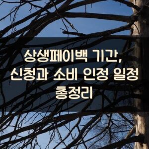 상생페이백 기간, 신청과 소비 인정 일정 총정리