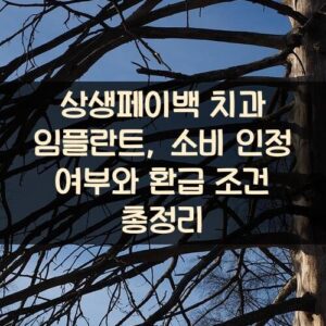 상생페이백 치과 임플란트, 소비 인정 여부와 환급 조건 총정리