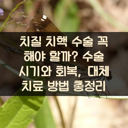 치질 치핵 수술 꼭 해야 할까? 수술 시기와 회복, 대체 치료 방법 총정리