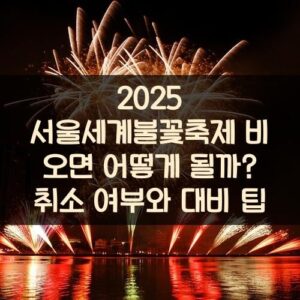 2025 서울세계불꽃축제 비 오면 어떻게 될까? 취소 여부와 대비 팁