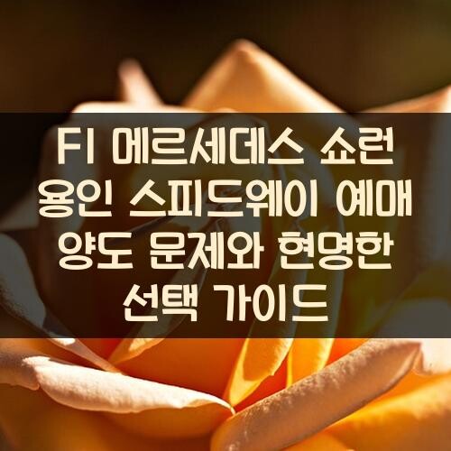 F1 메르세데스 쇼런 용인 스피드웨이 예매 양도 문제와 현명한 선택 가이드