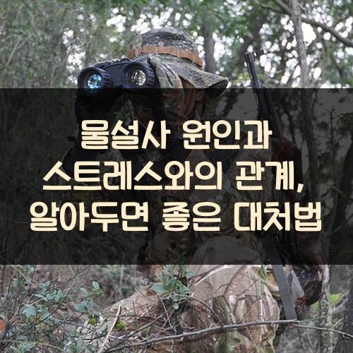 물설사 원인과 스트레스와의 관계, 알아두면 좋은 대처법