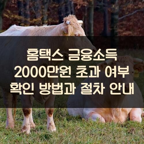 홈택스 금융소득 2000만원 초과 여부 확인 방법과 절차 안내
