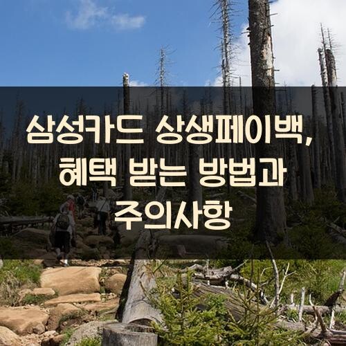 삼성카드 상생페이백, 혜택 받는 방법과 주의사항