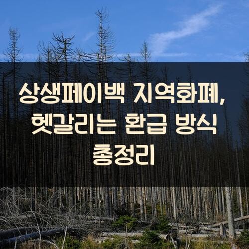 상생페이백 지역화폐, 헷갈리는 환급 방식 총정리