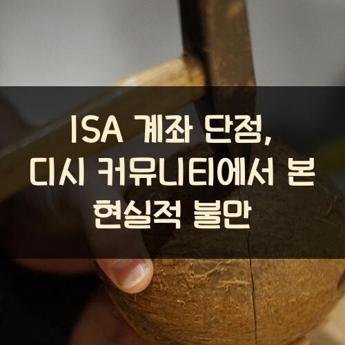 ISA 계좌 단점, 디시 커뮤니티에서 본 현실적 불만
