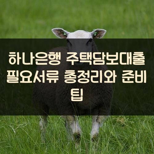 하나은행 주택담보대출 필요서류 총정리와 준비 팁