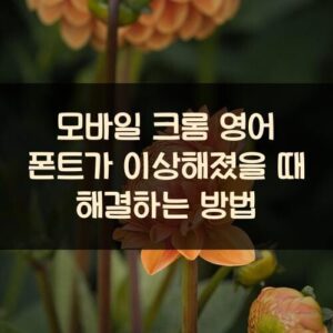 모바일 크롬 영어 폰트가 이상해졌을 때 해결하는 방법 모바일 크롬 영어 폰트가 이상해졌을 때 해결하는 방법