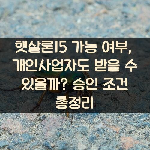 햇살론15 가능 여부, 개인사업자도 받을 수 있을까? 승인 조건 총정리