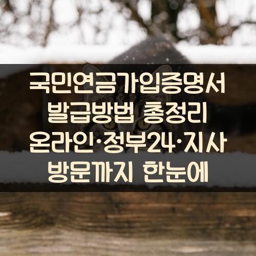 국민연금가입증명서 발급방법 총정리 온라인·정부24·지사 방문까지 한눈에