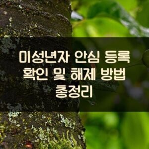 미성년자 안심 등록 확인 및 해제 방법 총정리 미성년자 안심 등록 확인 및 해제 방법 총정리
