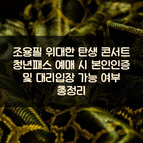 조용필 위대한 탄생 콘서트 청년패스 예매 시 본인인증 및 대리입장 가능 여부 총정리