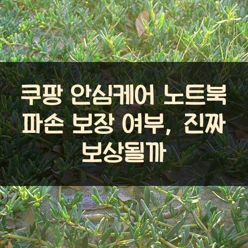 쿠팡 안심케어 노트북 파손 보장 여부, 진짜 보상될까?