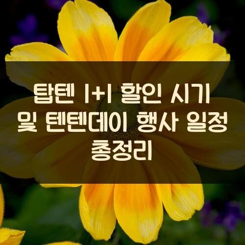 탑텐 1+1 할인 시기 및 텐텐데이 행사 일정 총정리