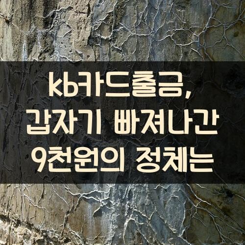 kb카드출금, 갑자기 빠져나간 9천원의 정체는?