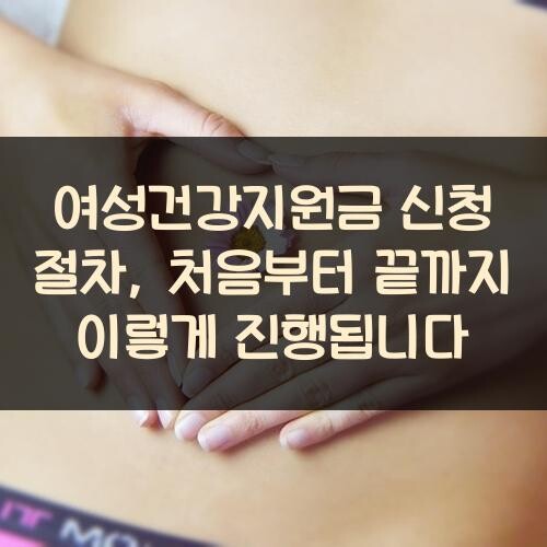 여성건강지원금 신청 절차, 처음부터 끝까지 이렇게 진행됩니다