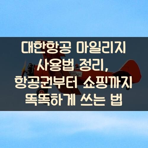 대한항공 마일리지 사용법 정리, 항공권부터 쇼핑까지 똑똑하게 쓰는 법