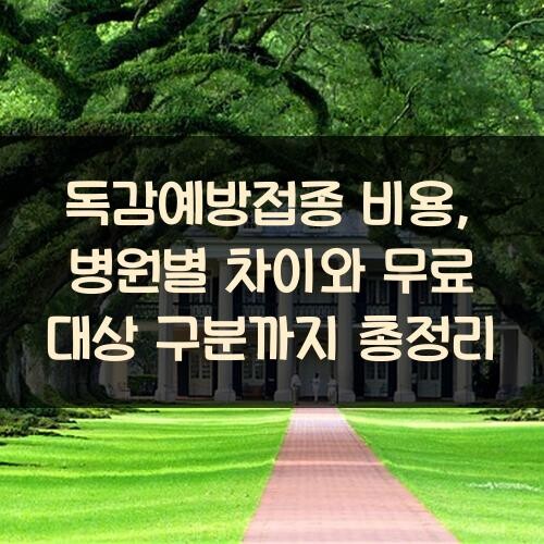 독감예방접종 비용, 병원별 차이와 무료 대상 구분까지 총정리