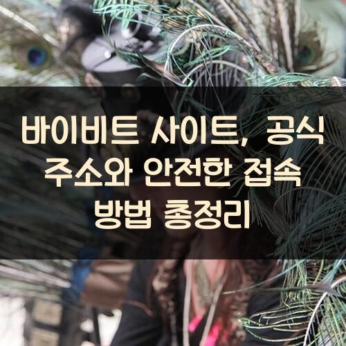 바이비트 사이트, 공식 주소와 안전한 접속 방법 총정리