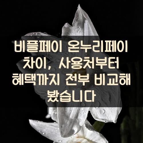 비플페이 온누리페이 차이, 사용처부터 혜택까지 전부 비교해 봤습니다