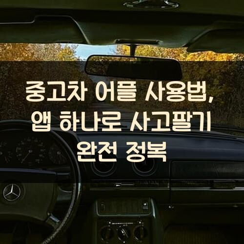 중고차 어플 사용법, 앱 하나로 사고팔기 완전 정복