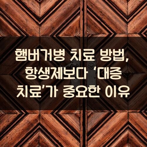 햄버거병 치료 방법, 항생제보다 ‘대증 치료’가 중요한 이유