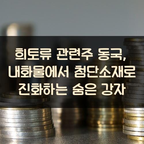 희토류 관련주 동국, 내화물에서 첨단소재로 진화하는 숨은 강자