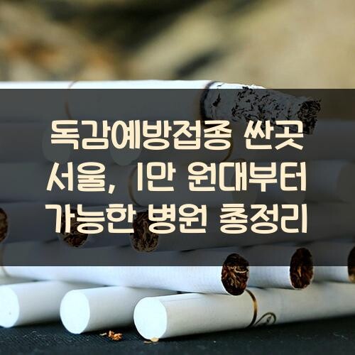 독감예방접종 싼곳 서울, 1만 원대부터 가능한 병원 총정리