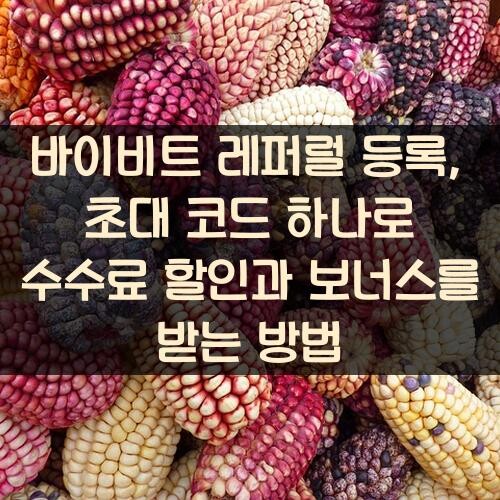 바이비트 레퍼럴 등록, 초대 코드 하나로 수수료 할인과 보너스를 받는 방법