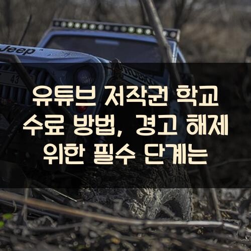 유튜브 저작권 학교 수료 방법, 경고 해제 위한 필수 단계는?