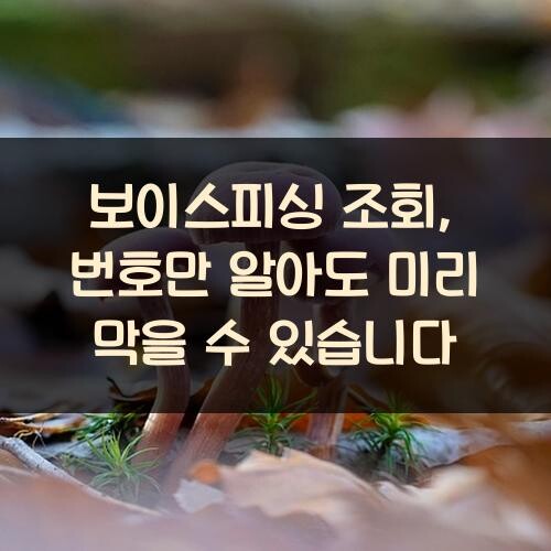 보이스피싱 조회, 번호만 알아도 미리 막을 수 있습니다