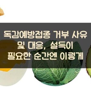 독감예방접종 거부 사유 및 대응, 설득이 필요한 순간엔 이렇게