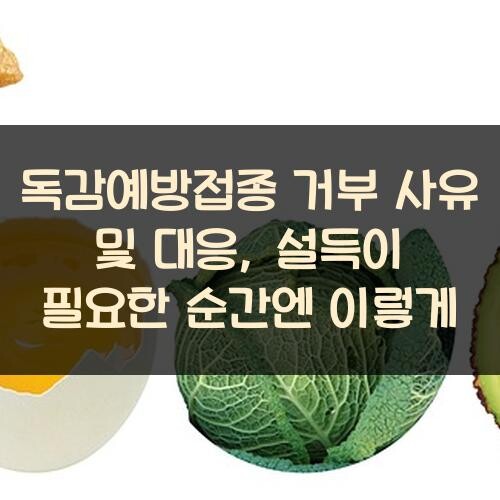 독감예방접종 거부 사유 및 대응, 설득이 필요한 순간엔 이렇게