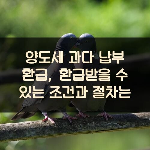양도세 과다 납부 환급, 환급받을 수 있는 조건과 절차는?