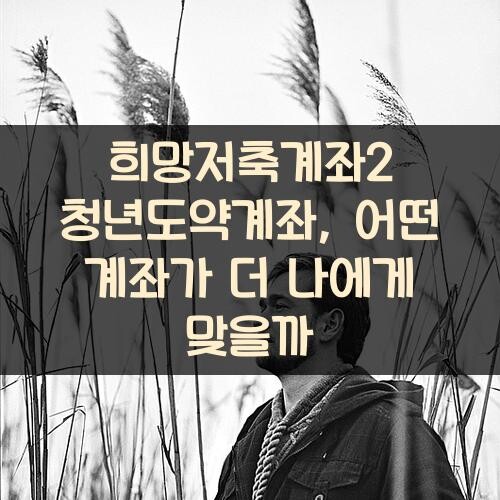 희망저축계좌2 청년도약계좌, 어떤 계좌가 더 나에게 맞을까?