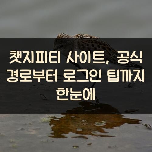 챗지피티 사이트, 공식 경로부터 로그인 팁까지 한눈에