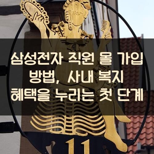 삼성전자 직원 몰 가입 방법, 사내 복지 혜택을 누리는 첫 단계