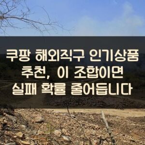 쿠팡 해외직구 인기상품 추천, 이 조합이면 실패 확률 줄어듭니다 쿠팡 해외직구 인기상품 추천, 이 조합이면 실패 확률 줄어듭니다