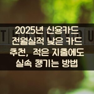 2025년 신용카드 전월실적 낮은 카드 추천, 적은 지출에도 실속 챙기는 방법