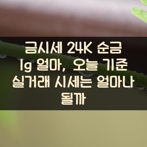 금시세 24K 순금 1g 얼마, 오늘 기준 실거래 시세는 얼마나 될까?