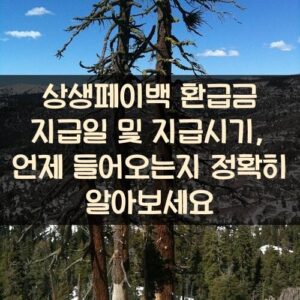 상생페이백 환급금 지급일 및 지급시기, 언제 들어오는지 정확히 알아보세요