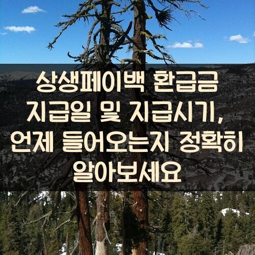 상생페이백 환급금 지급일 및 지급시기, 언제 들어오는지 정확히 알아보세요