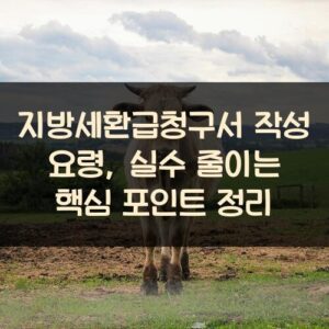 지방세환급청구서 작성 요령, 실수 줄이는 핵심 포인트 정리